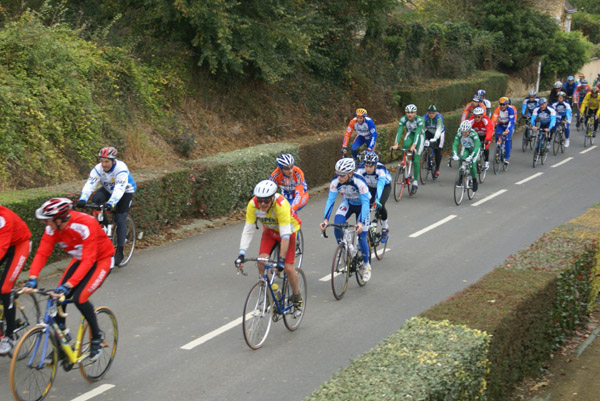 DSC02248